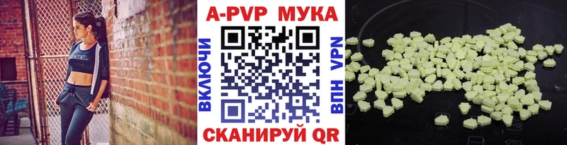 дарнет шоп  МЕГА как войти  А ПВП СК  Глазов 