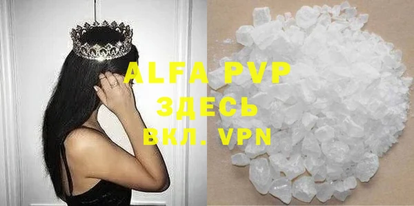 крисы Алзамай
