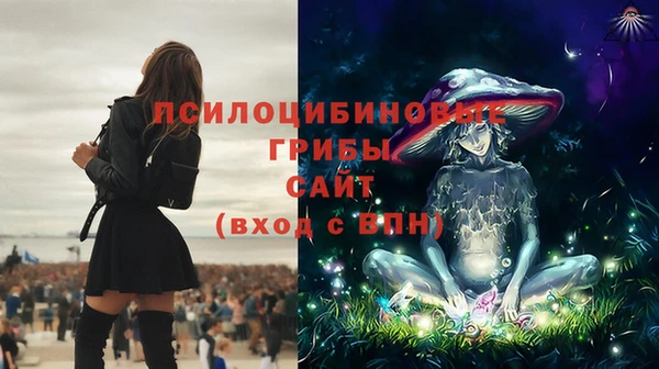 тгк Алексин