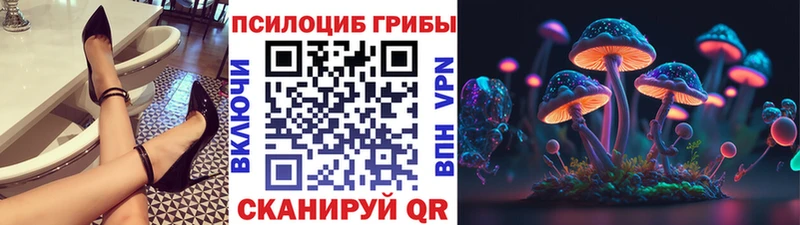 кракен как войти  Глазов  Псилоцибиновые грибы Psilocybe 